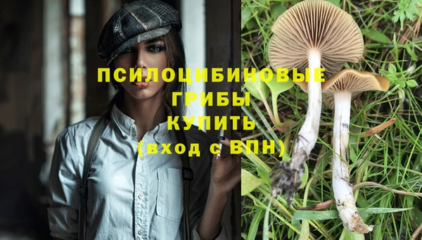 ешки Балахна