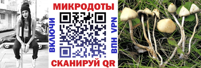 даркнет сайт  Красноуфимск  Псилоцибиновые грибы Magic Shrooms 